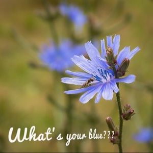 Skip your blues...get ready for a vibrant spring!